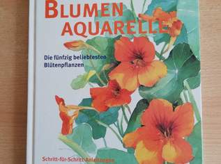 Vier Sachbücher Zeichnen, Aquarelle laut Fotos.