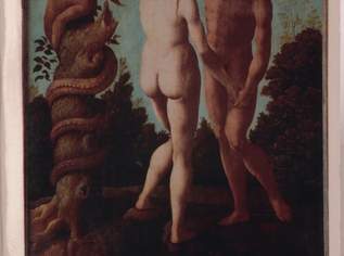 Buch "Der Sündenfall", 19 €, Marktplatz-Bücher & Bildbände in 1200 Brigittenau