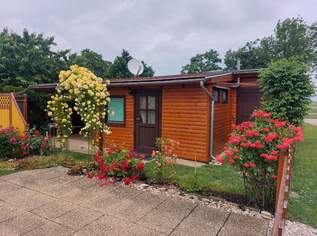 Wohn-Container mit Holz Verbau inkl. überdachter Gartenlaube auf einem ! Pachtgrund ! Wohn-Container mit Holz Verbau inkl. überdachter Gartenlaube auf einem ! Pachtgrund !