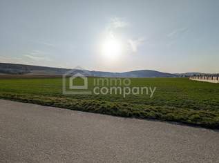 Sonniger sehr ruhiger Baugrund über der Hochwassergrenze, 187900 €, Immobilien-Grund und Boden in 3441 Gollarn