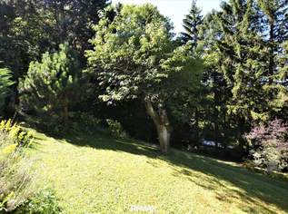 Baugrundstück im Augustinerwald - Naturidylle mit Hanglage, 299000 €, Immobilien-Grund und Boden in 1140 Penzing