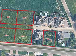 BAUGRÜNDE! Zwischen 580 m² und 716 m², 186000 €, Immobilien-Grund und Boden in 2452 Gemeinde Mannersdorf am Leithagebirge
