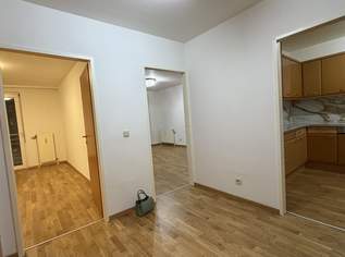 sanierte 2,5 Zimmer Wohnung | ZELLMANN IMMOBILIEN, 239000 €, Immobilien-Wohnungen in 1100 Favoriten