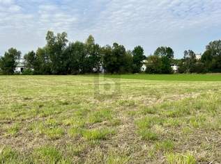 FÜR OUTDOOR-ENTHUSIASTEN AUSSERHALB DES SIEDLUNGSBEREICHES, 59900 €, Immobilien-Grund und Boden in 7032 Gemeinde Sigleß