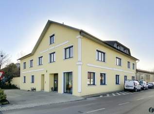 Modernes Büro/Praxis, 1300 €, Immobilien-Gewerbeobjekte in 3435 Gemeinde Zwentendorf an der Donau