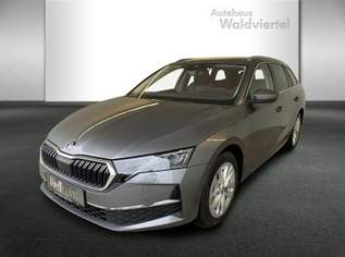 Octavia Selection TDI DSG, 38850 €, Auto & Fahrrad-Autos in 3580 Gemeinde Horn