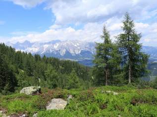 Schladming-Feel Well Reiteralm: Erstbezug! Elegantes 3-Zimmer-Apartment mit großzügiger Terrasse, Garage und praktischem Abstellraum!, 600990 €, Immobilien-Wohnungen in 8970 Politische Expositur Gröbming Schladming-Feel Well Reiteralm: Erstbezug! Elegantes 3-Zimmer-Apartment mit großzügiger Terrasse, Garage und praktischem Abstellraum!, 600990 €, Immobilien-Wohnungen in 8970 Politische Expositur Gröbming
