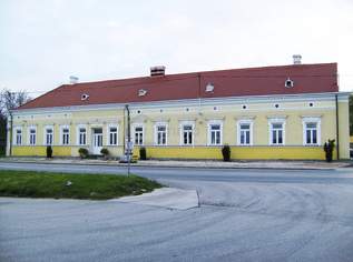 Gewerbeobjekt im Bezirk Hollabrunn steht zum Verkauf oder Vermietung!!!, 689000 €, Immobilien-Häuser in 2020 Suttenbrunn