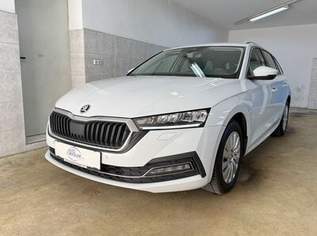 Octavia Business *AHK/schw.-Sitzh.-Virtual/Cockp.*, 16900 €, Auto & Fahrrad-Autos in 4906 Eberschwang