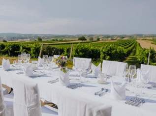 Wunderschön gelegener Gastronomiebetrieb mit Wohnung!, 1200000 €, Immobilien-Gewerbeobjekte in 2130 Mistelbach