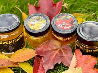 HONIG AUS EIGENER PRODUKTION , 13 €, Marktplatz-Genuss & Kulinarik in 1140 Penzing