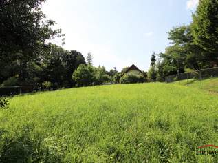 ICH BIN ZU KAUFEN - sonniges Grundstück mit unverbaubarer Aussicht!, 229000 €, Immobilien-Grund und Boden in 8101 Forstviertel ICH BIN ZU KAUFEN - sonniges Grundstück mit unverbaubarer Aussicht!, 229000 €, Immobilien-Grund und Boden in 8101 Forstviertel