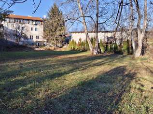 DB IMMOBILIEN | Großzügiges Wohnhaus mit zwei Wohneinheiten, einem Café und zusätzlichem Bauland in Ternitz, 649000 €, Immobilien-Häuser in 2630 Gemeinde Ternitz