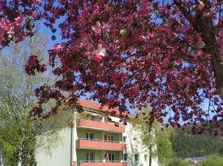 Schöne 2 Zimmerwohnung mit traumhaften Ausblick und großer Loggia