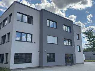 Exklusive Büroflächen 2442 Unterwaltersdorf, 2000 €, Immobilien-Gewerbeobjekte in 2442 Unterwaltersdorf