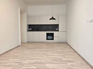 TOP-ALTBAU-ERSTBEZUG nach Sanierung - U1 und 13A direkt vorm Haus - Hofruhelage - Top-Infrastruktur - Hauptbahnhof, 367000 €, Immobilien-Wohnungen in 1040 Wieden