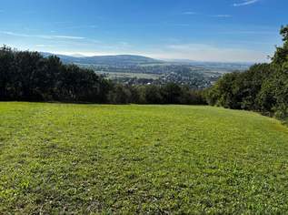 "IN KAUFABWICKLUNG!" GRÜNLAND IN TULBING, 98000 €, Immobilien-Grund und Boden in 3434 Gemeinde Tulbing