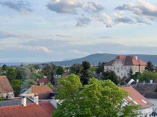 Traumblick unterm Dach!, 249000 €, Immobilien-Wohnungen in 2500 Gemeinde Baden