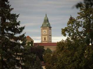 Arbeiten mit Geschichte: Toplage am Hauptplatz von Enns, 790000 €, Immobilien-Häuser in 4470 Enns