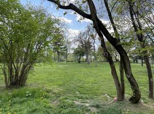 Beautiful and furnished 107 m² 4 room apartment with terracce for rent in 1210 Vienna located directly at the Obere Alte Donau!, 2490 €, Immobilien-Wohnungen in 1210 Floridsdorf