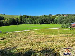 Baugrund in ländlicher Lage zum Schnäppchenpreis!, 0 €, Immobilien-Grund und Boden in 3364 Neuhofen an der Ybbs