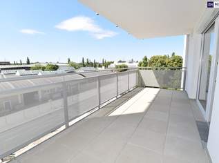 Vom Feinsten! 3 Zimmer mit großem West-Balkon. Was wollen Sie mehr?, 1249.14 €, Immobilien-Wohnungen in 2320 Schwechat