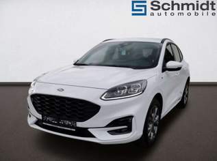 Kuga 2,5 Duratec FHEV AWD ST-Line X Aut., 32500 €, Auto & Fahrrad-Autos in 5322 Gitzen Kuga 2,5 Duratec FHEV AWD ST-Line X Aut., 32500 €, Auto & Fahrrad-Autos in 5322 Gitzen