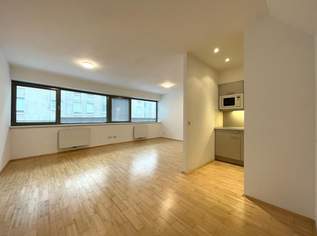 Mega-stylische Neubauwohnung im Architektenhaus!!! AB DEZEMBER !!, 1079.01 €, Immobilien-Wohnungen in 1070 Neubau