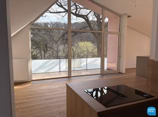 Dachgeschoss am Pötzleinsdorfer Park, 3501.84 €, Immobilien-Wohnungen in 1180 Währing