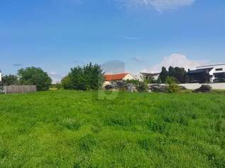 GUT GESCHNITTEN - ZWEI ZUFAHRTEN - RUHELAGE, 199900 €, Immobilien-Grund und Boden in 7123 Mönchhof GUT GESCHNITTEN - ZWEI ZUFAHRTEN - RUHELAGE, 199900 €, Immobilien-Grund und Boden in 7123 Mönchhof