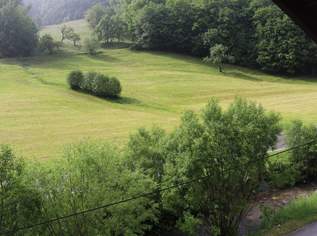 Helles, offenes Haus mit Keller, Garage und Garten in Eschenau zu vermieten - ideal für Familien