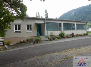 Halle mit größerem Grundstück und vielen Nutzungsmöglichkeiten!, 0 €, Immobilien-Gewerbeobjekte in 4460 Losenstein