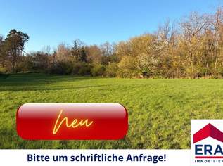 Freizeitgrundstück in Gaweinstal – ruhige Grünlage mit viel Natur und Entwicklungspotenzial, 299000 €, Immobilien-Grund und Boden in 2191 Gaweinstal