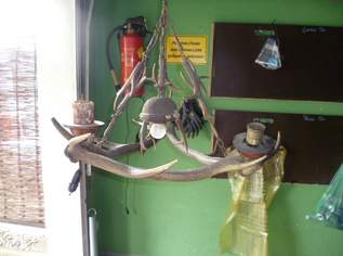 Verkaufe 3 Armiger Hiurschgeweihluster, 60 €, Haus, Bau, Garten-Möbel & Sanitär in 5201 Seekirchen am Wallersee
