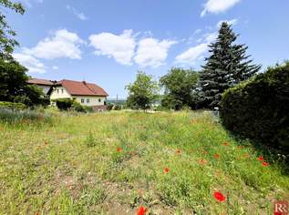 Die Donau im Blick, 850000 €, Immobilien-Grund und Boden in 3400 Gemeinde Klosterneuburg Die Donau im Blick, 850000 €, Immobilien-Grund und Boden in 3400 Gemeinde Klosterneuburg