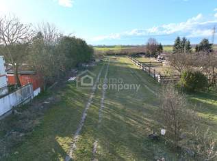 Großes Grundstück in Pischelsdorf zu verkaufen!, 199000 €, Immobilien-Grund und Boden in 2434 Katastralgemeinde Pischelsdorf Großes Grundstück in Pischelsdorf zu verkaufen!, 199000 €, Immobilien-Grund und Boden in 2434 Katastralgemeinde Pischelsdorf