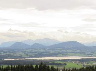 Wohnen mit Aussicht: Stilvolle Wohnung im historischen Haus am Tannberg, 795 €, Immobilien-Wohnungen in 5203 Tödtleinsdorf