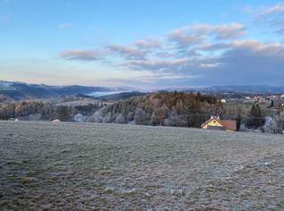 Baugrundstück in traumhafter Hanglage – 974 m², voll aufgeschlossen, provisionsfrei! (Provisionsfrei), 104000 €, Immobilien-Grund und Boden in 4083 Haibach ob der Donau Baugrundstück in traumhafter Hanglage – 974 m², voll aufgeschlossen, provisionsfrei! (Provisionsfrei), 104000 €, Immobilien-Grund und Boden in 4083 Haibach ob der Donau