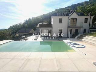NEUWERTIGE MODERNE VILLA MIT TRAUMBLICK, 2950000 €, Immobilien-Häuser in 3400 Gemeinde Klosterneuburg NEUWERTIGE MODERNE VILLA MIT TRAUMBLICK, 2950000 €, Immobilien-Häuser in 3400 Gemeinde Klosterneuburg