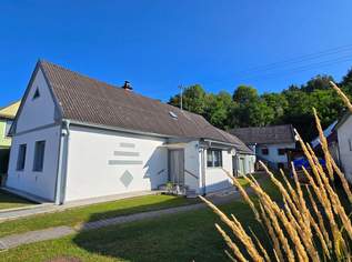 Doppelchance mit Erdkeller - zwei Häuser ein Preis, 158000 €, Immobilien-Häuser in 7461 Stadtschlaining