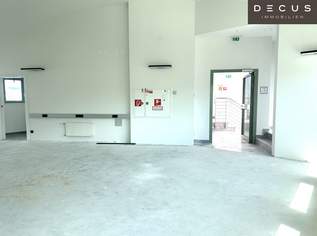 + + + PHAROS HAUS + + + Verkehrsknotenpunkt PRATER + + + gekühltes Büro mit Terrasse + + +, 1834.83 €, Immobilien-Gewerbeobjekte in 1020 Leopoldstadt + + + PHAROS HAUS + + + Verkehrsknotenpunkt PRATER + + + gekühltes Büro mit Terrasse + + +, 1834.83 €, Immobilien-Gewerbeobjekte in 1020 Leopoldstadt