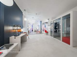 Großflächiges Geschäftslokal auf 2 Etagen in Toplage, 9264.58 €, Immobilien-Gewerbeobjekte in 1010 Innere Stadt