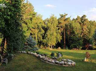 Traumhaft schöne Waldrandlage auf 520m Anhöhe - 2.922m² Grund, zwei Bauparzellen mit saniertem Wochenend-Häuschen und Waldanteil!, 345000 €, Immobilien-Häuser in 2632 Grafenbach Traumhaft schöne Waldrandlage auf 520m Anhöhe - 2.922m² Grund, zwei Bauparzellen mit saniertem Wochenend-Häuschen und Waldanteil!, 345000 €, Immobilien-Häuser in 2632 Grafenbach