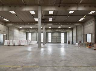 Kombination Halle 160 m2 und Büro 55 m2, inkl. Rampe in Wr. Neudorf, 2229 €, Immobilien-Gewerbeobjekte in 2351 Gemeinde Wiener Neudorf Kombination Halle 160 m2 und Büro 55 m2, inkl. Rampe in Wr. Neudorf, 2229 €, Immobilien-Gewerbeobjekte in 2351 Gemeinde Wiener Neudorf