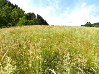 Baugrund in der Nähe von Feldkirchen, 70000 €, Immobilien-Grund und Boden in 9560 Feldkirchen in Kärnten