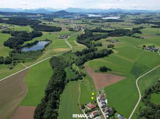 Baugrundstück ohne Bauzwang nähe Mattsee, 276920 €, Immobilien-Grund und Boden in 5221 Lochen am See