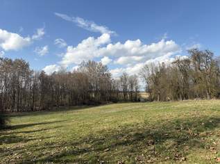 Idyllisches Baugrundstück im Grünen, 68000 €, Immobilien-Grund und Boden in 4942 Gurten