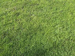 Bauträgergrundstück im Zentrum von Hollabrunn, 199000 €, Immobilien-Grund und Boden in 2020 Hollabrunn