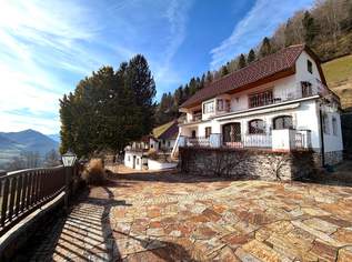 Villa in Alleinlage mit traumhaftem Ausblick, 0 €, Immobilien-Häuser in 4591 Breitenau