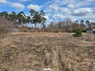 Schönes Baugrundstück in Grünruhelage!, 195000 €, Immobilien-Grund und Boden in 2230 Gemeinde Gänserndorf Schönes Baugrundstück in Grünruhelage!, 195000 €, Immobilien-Grund und Boden in 2230 Gemeinde Gänserndorf